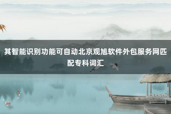 其智能识别功能可自动北京观旭软件外包服务网匹配专科词汇