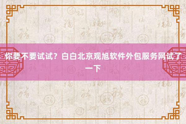 你要不要试试?白白北京观旭软件外包服务网试了一下